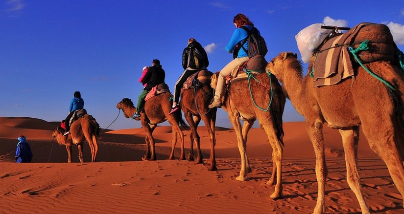 15 Day tour from Casablanca to Imperial Cities and Desert