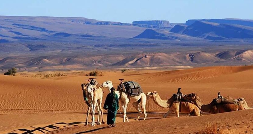 4 Days tour from Fes to Sahara Desert