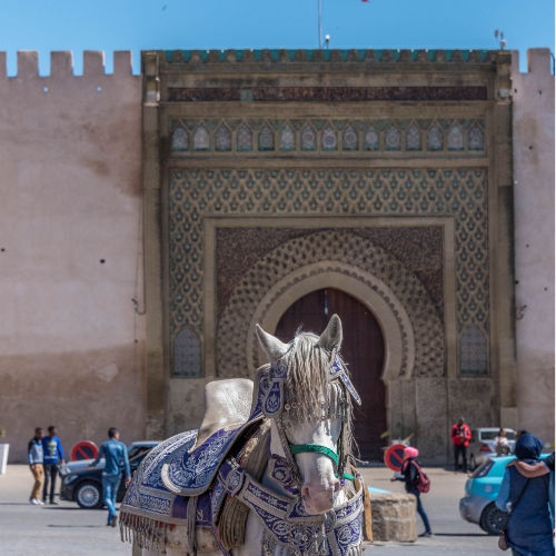 meknes-tours