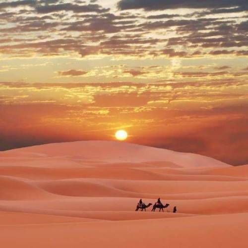 sunrise-in-the-desert